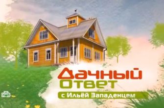 Дачный ответ