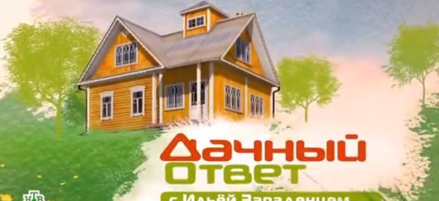 Дачный ответ