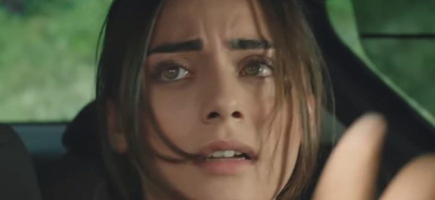 Доверенное 212 серия на русском языке